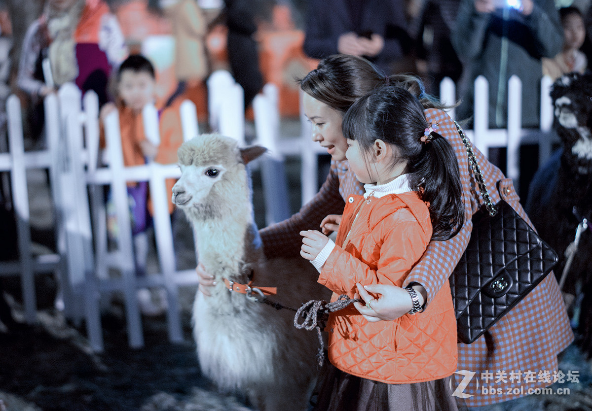 游拍成都2015武侯祠大庙会