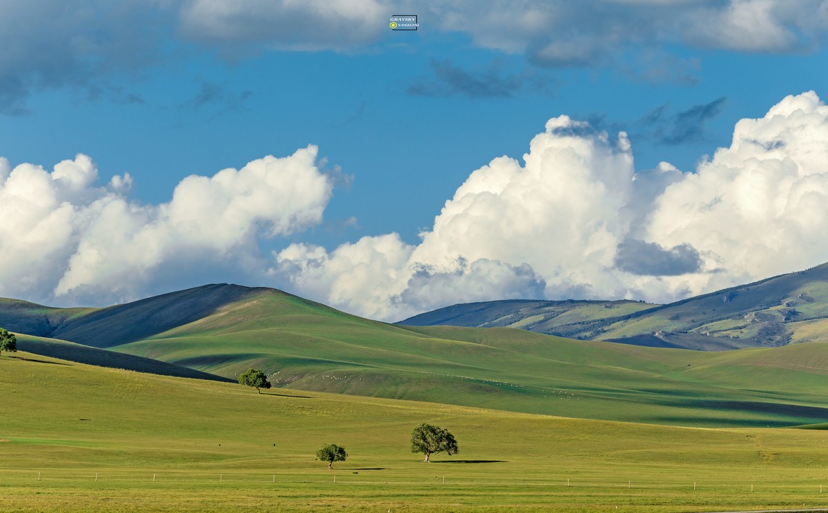 西乌珠穆沁旗草原