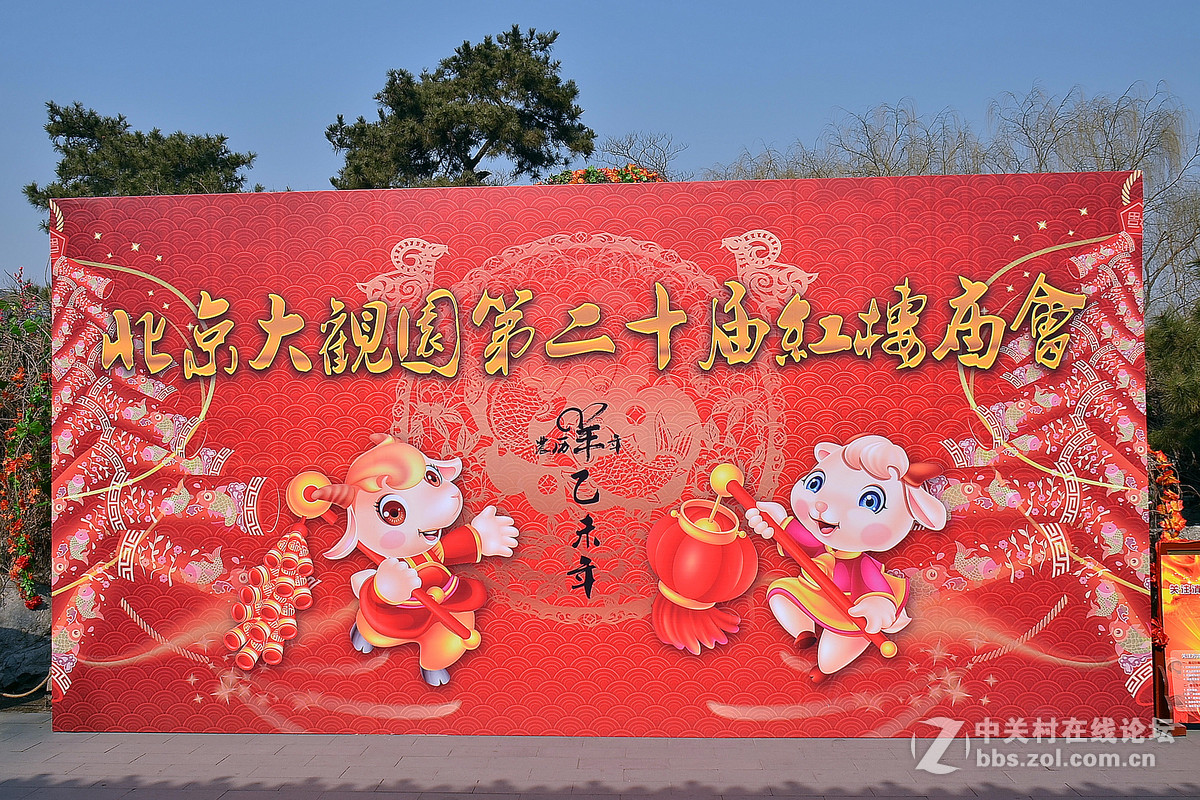 #寻找尼康镜头中的最美中国#《红红火火过大年——北京大观园》