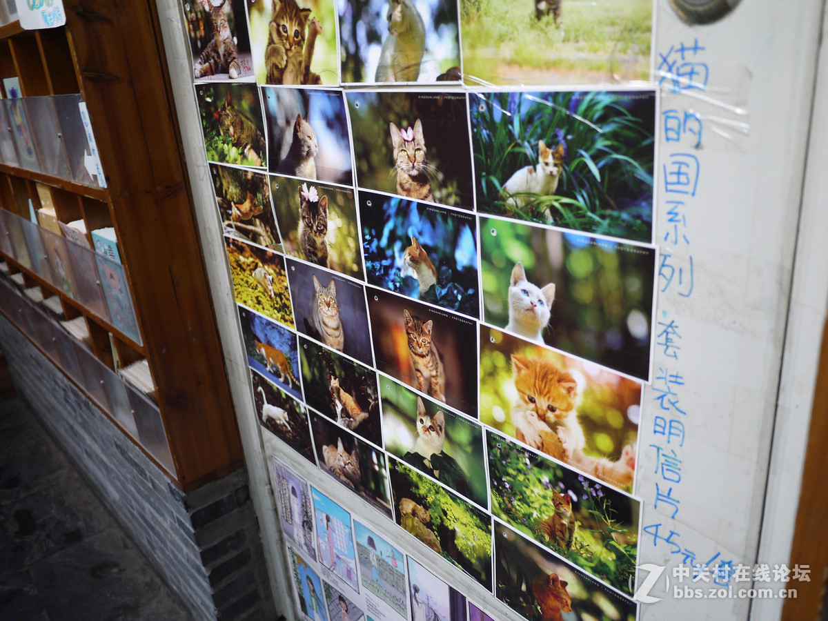 8月游江苏  直出