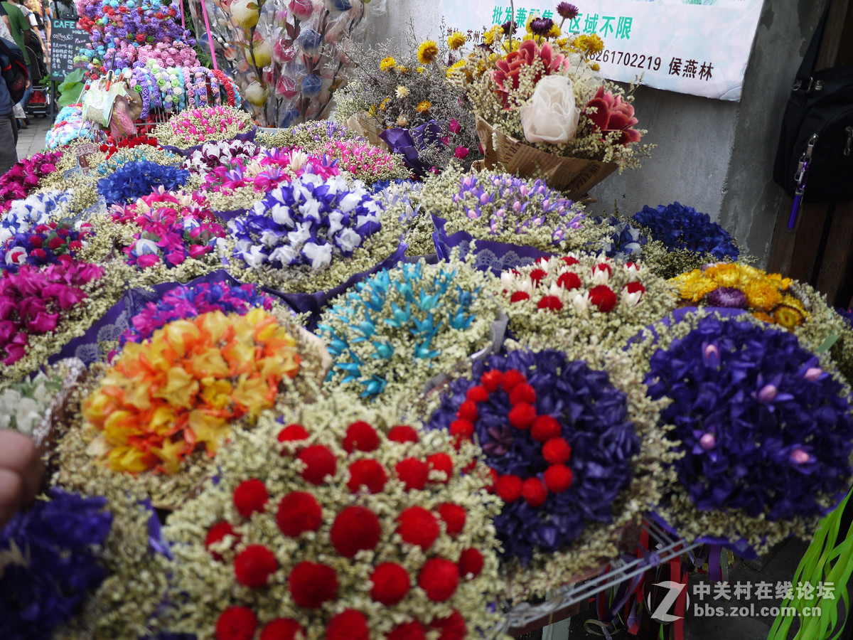8月游江苏  直出