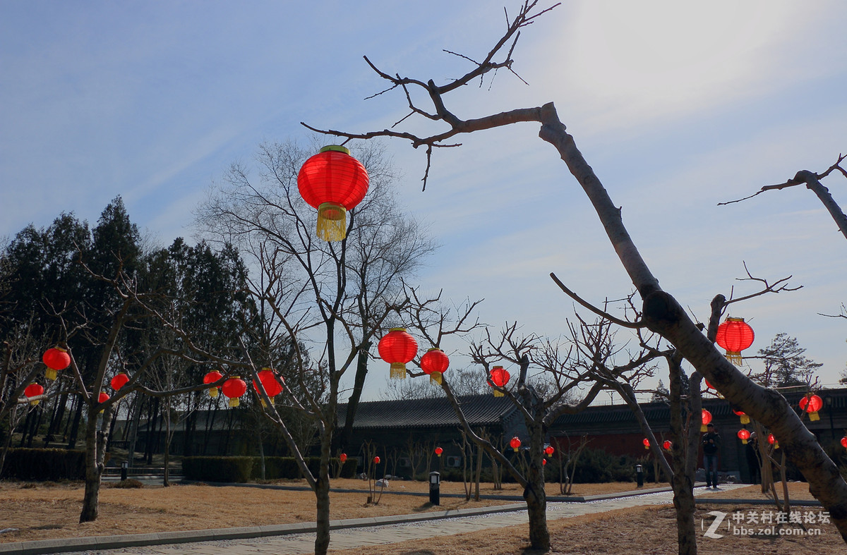春节年假一组圆明园随拍！