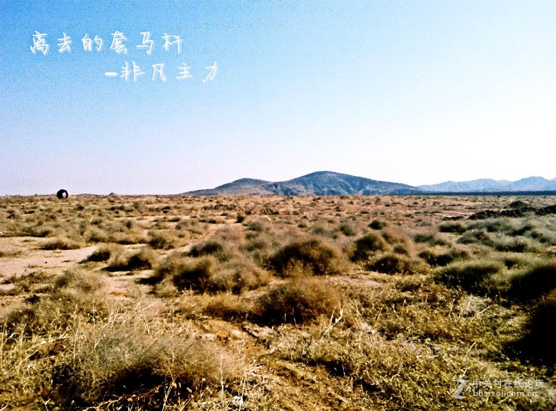 乔市外滩草原