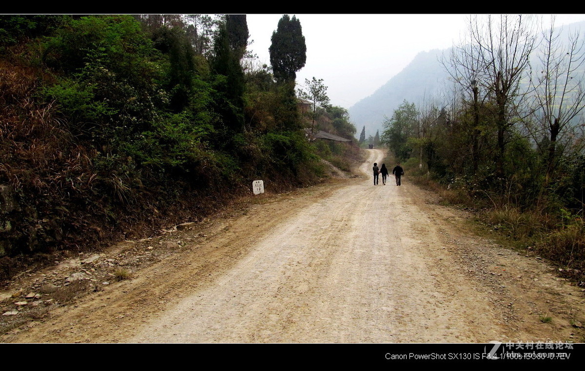 故乡！故乡.......