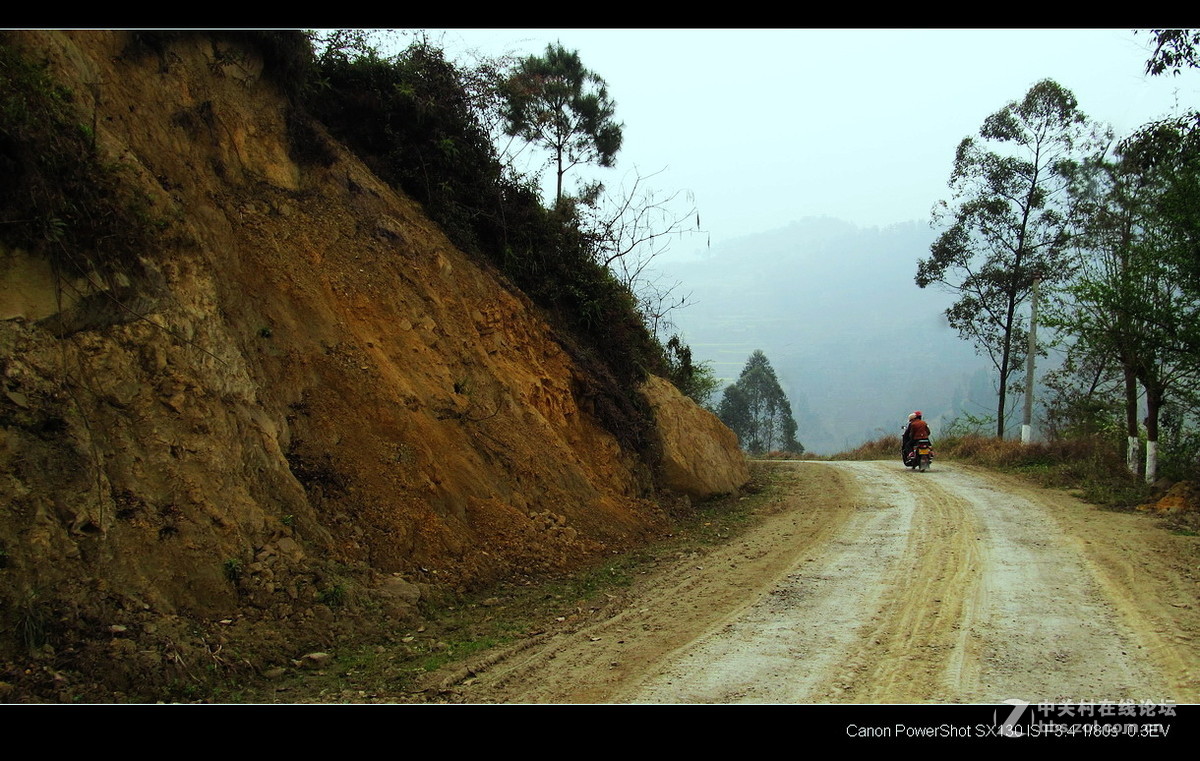 故乡！故乡.......