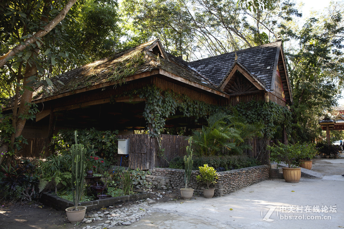 傣家文化 竹楼建筑-中关村在线摄影论坛