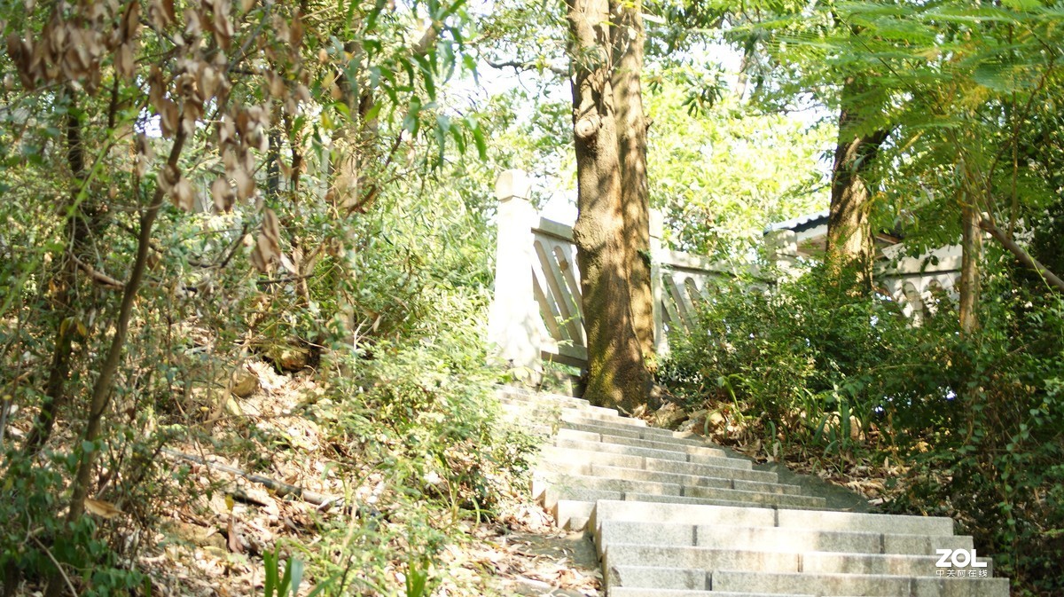 望牛亭公园之《曲径小路》