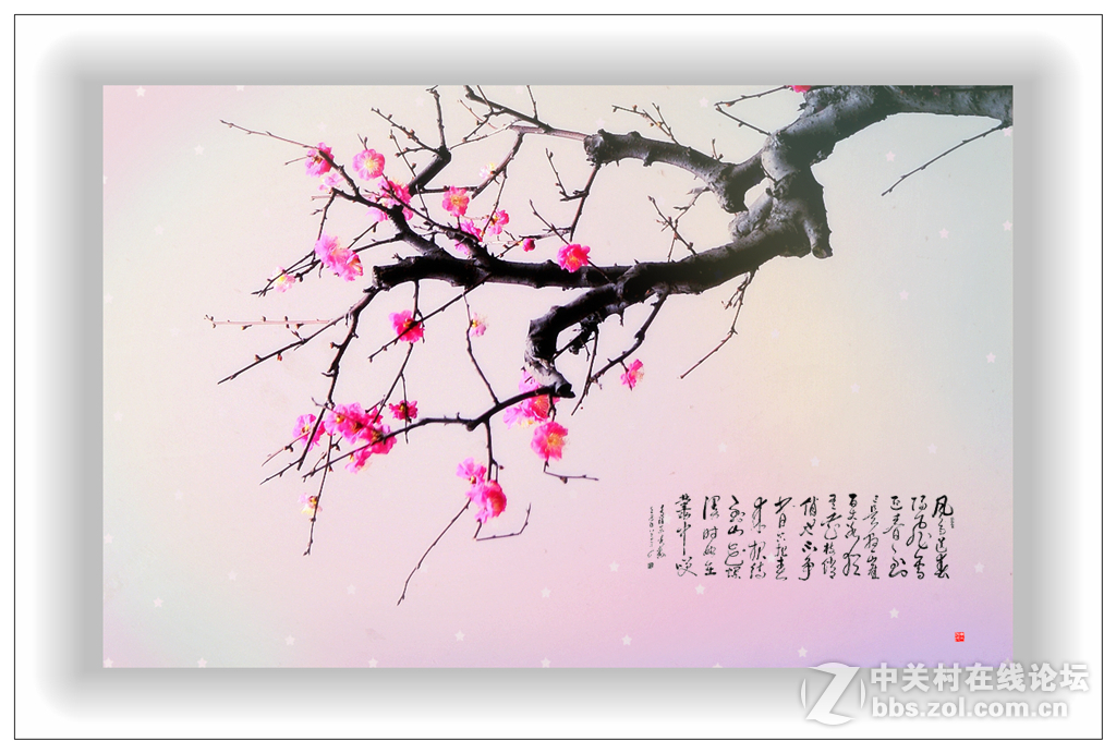 #尼康花卉作品赏析#第15期《一组梅花》