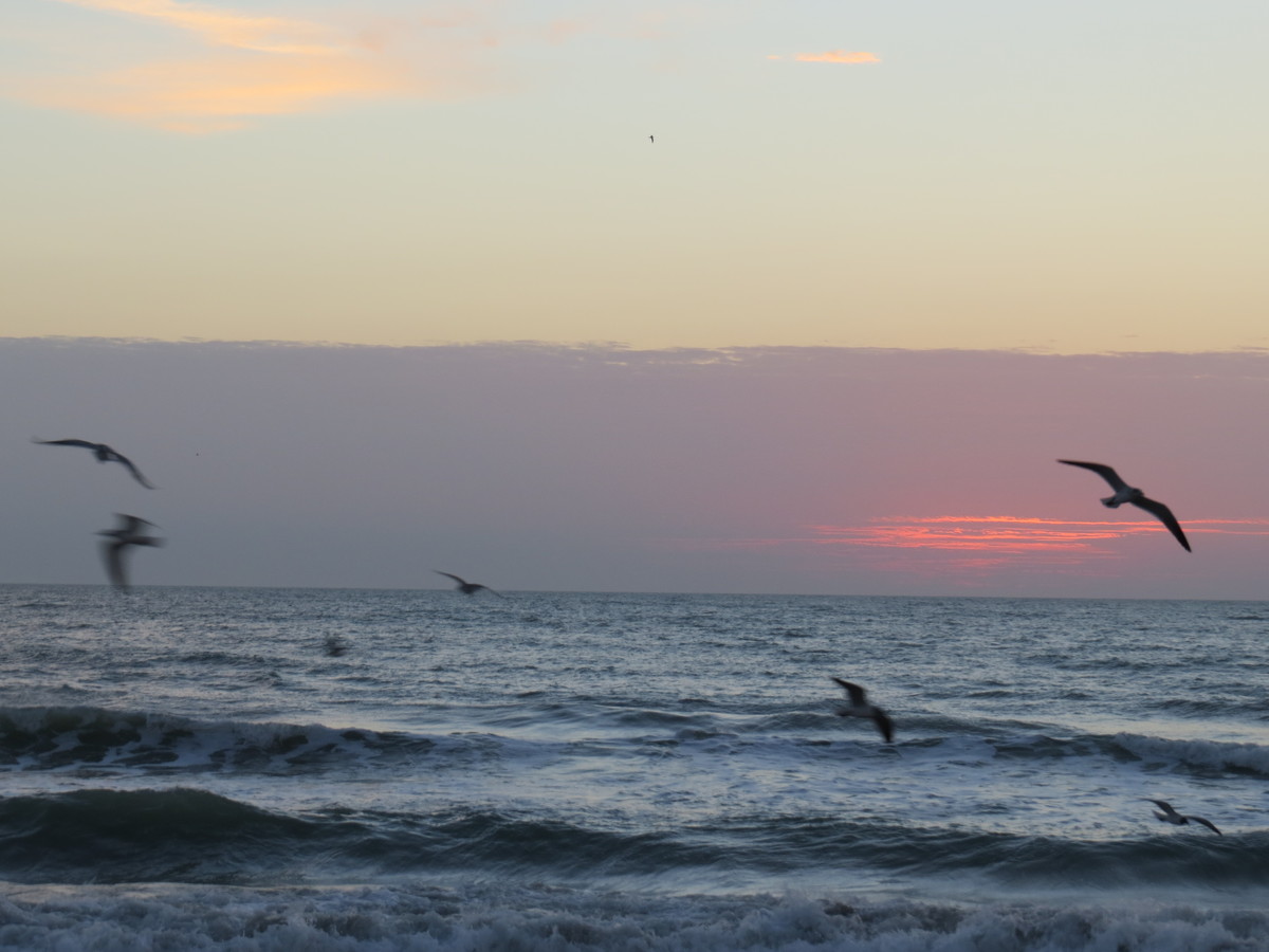 现拍现传海上日出10张