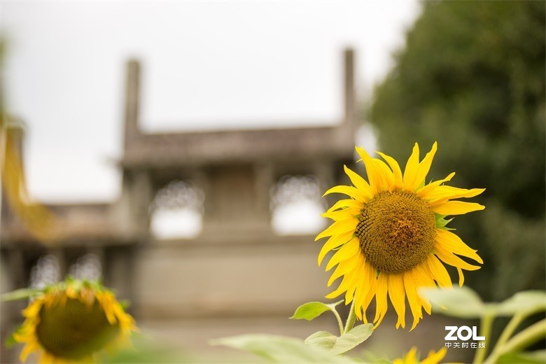 欢迎批评，欢迎指教！！！