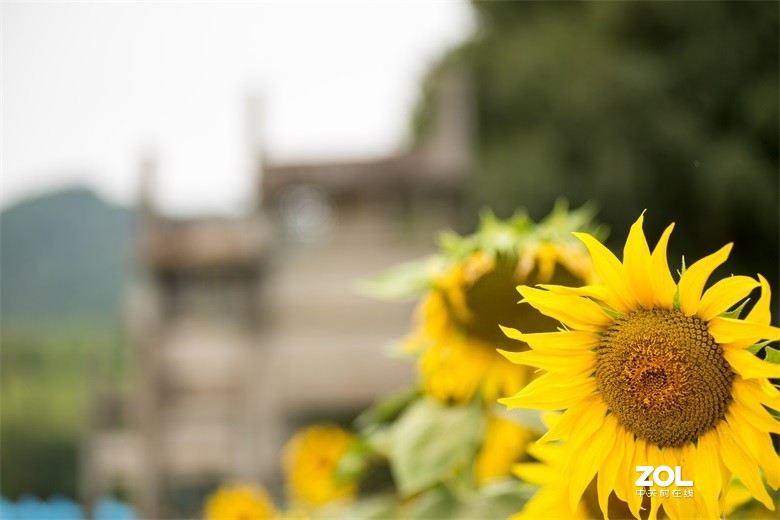 欢迎批评，欢迎指教！！！