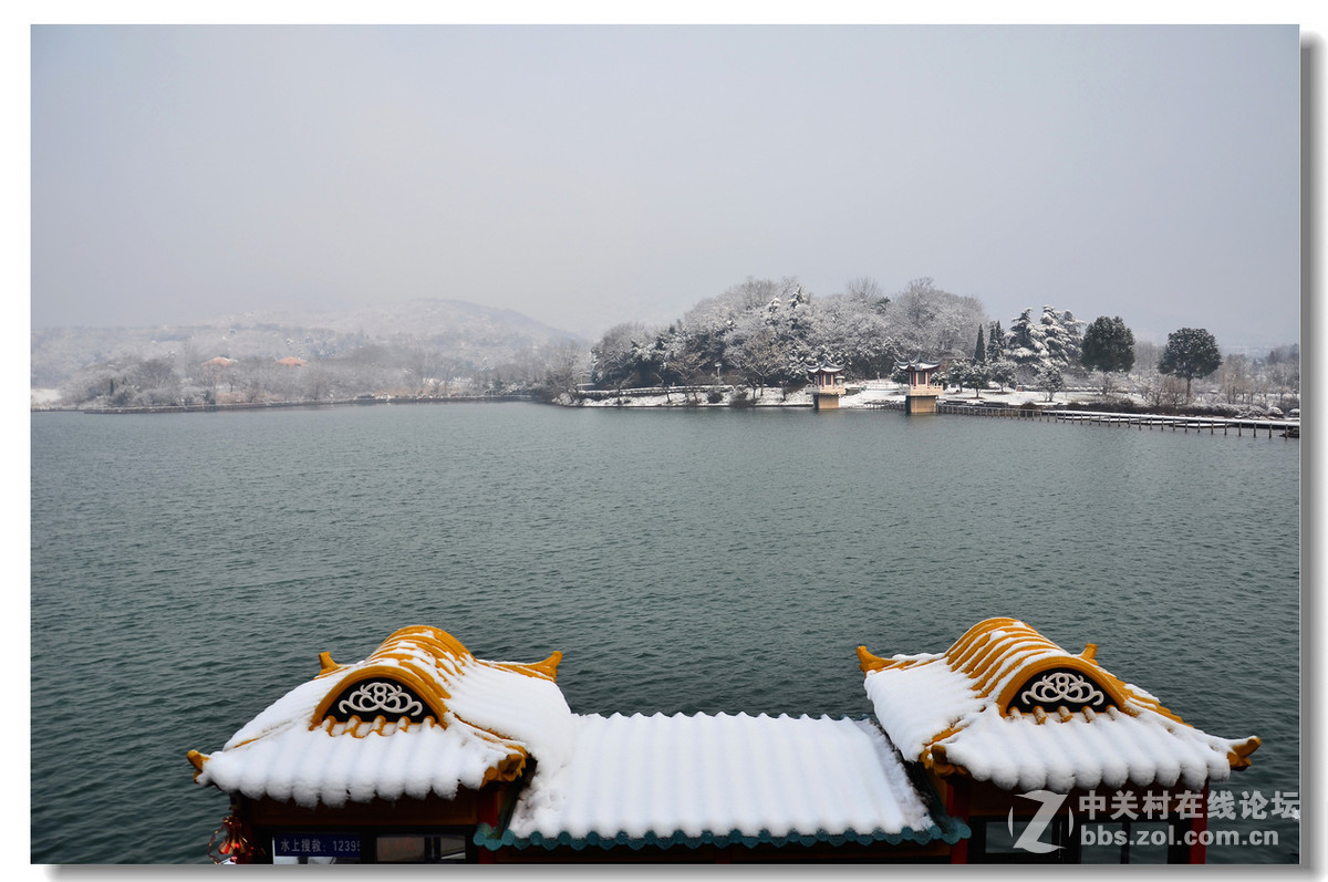 南京珍珠泉雪景-中关村在线摄影论坛