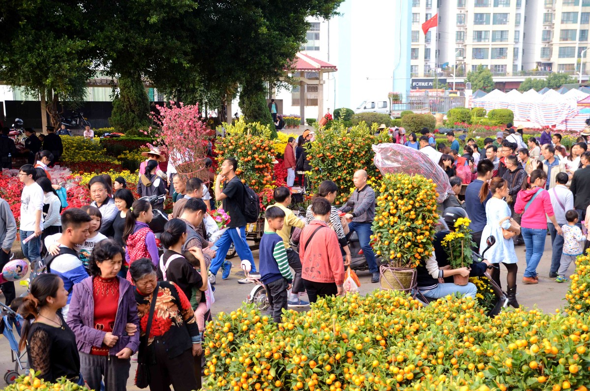 年味之行花市逛花街-中关村在线摄影论坛