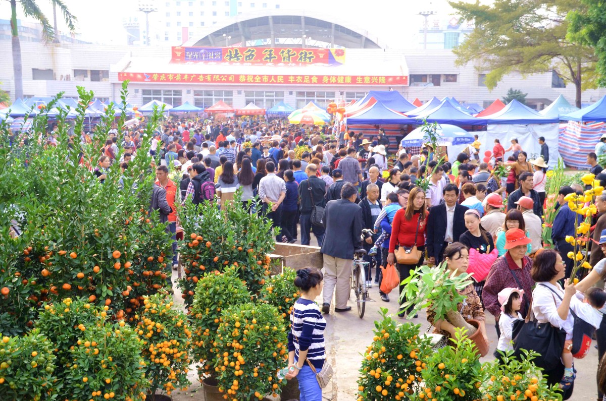 年味之行花市逛花街-中关村在线摄影论坛