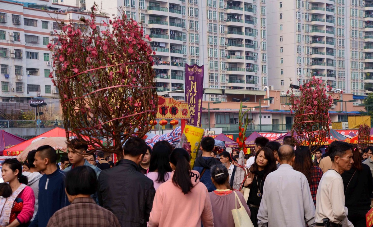 年味之行花市逛花街-中关村在线摄影论坛