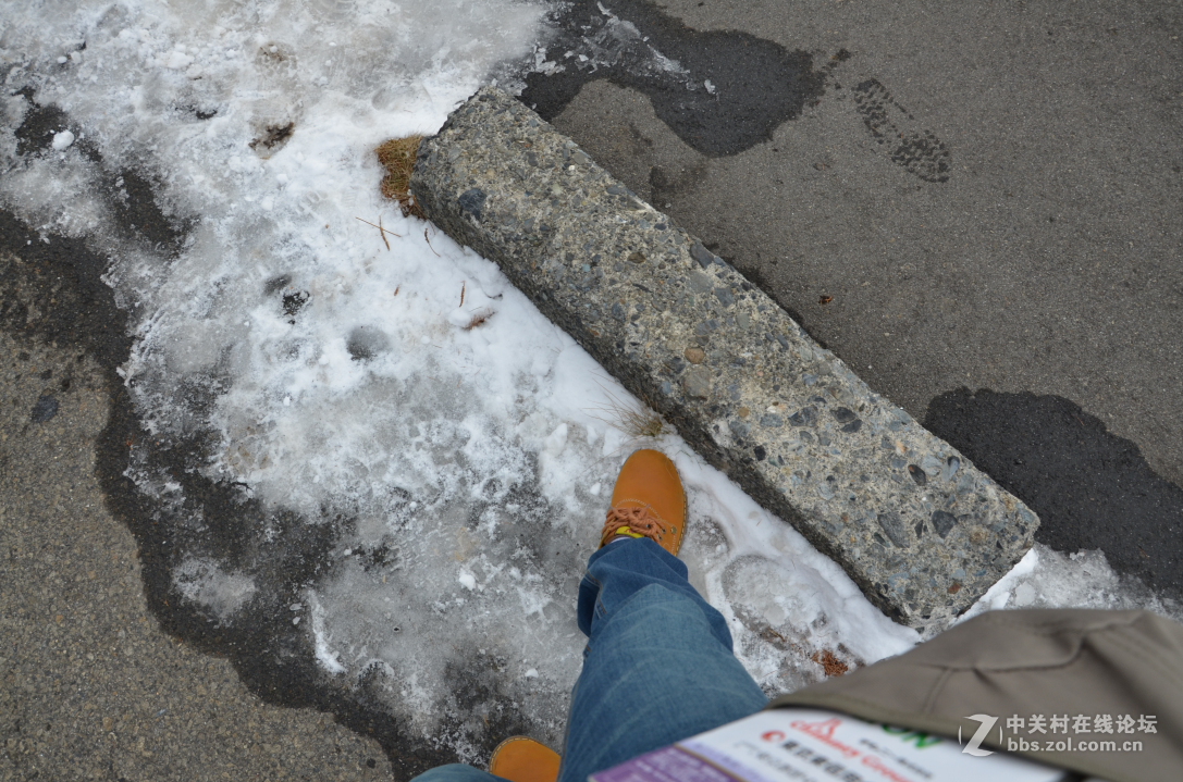 新婚日本本州蜜月之旅