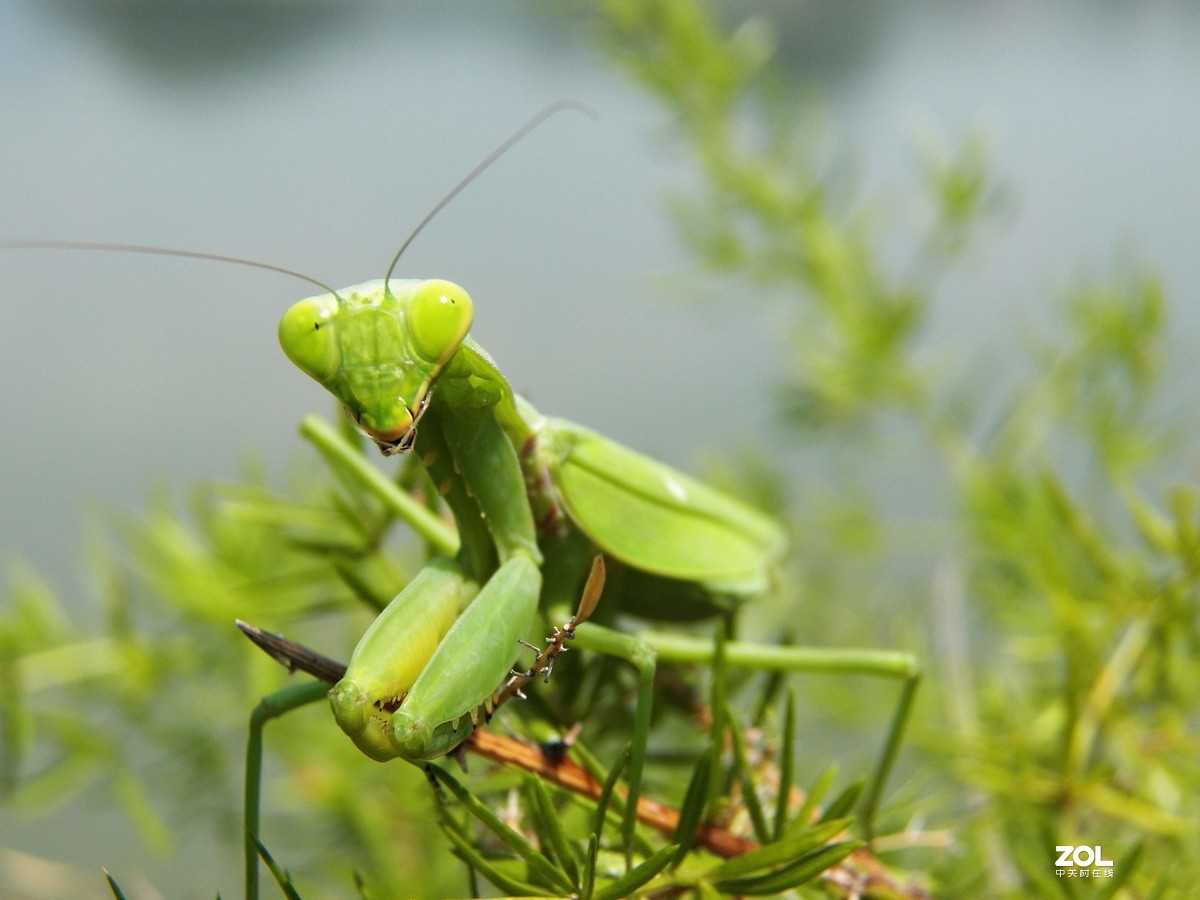 最近淘得一台z990，难得的是接近全新