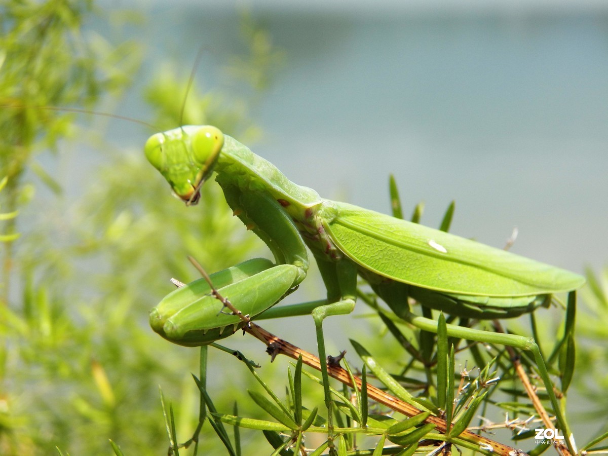 最近淘得一台z990，难得的是接近全新