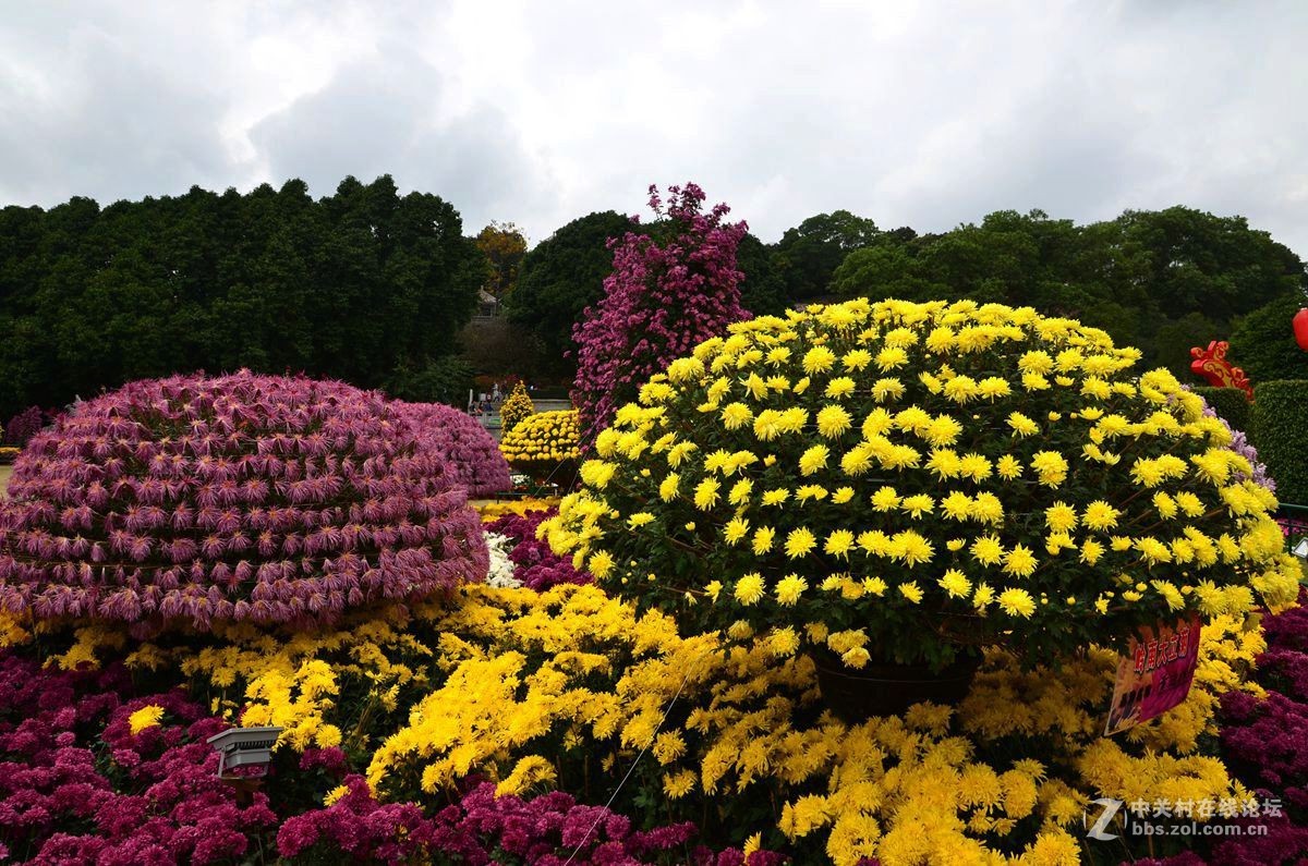 中山市孙文纪念公园