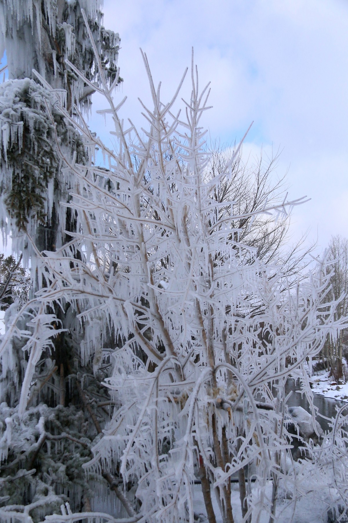 今天随拍一组长白山雪雕，雪景