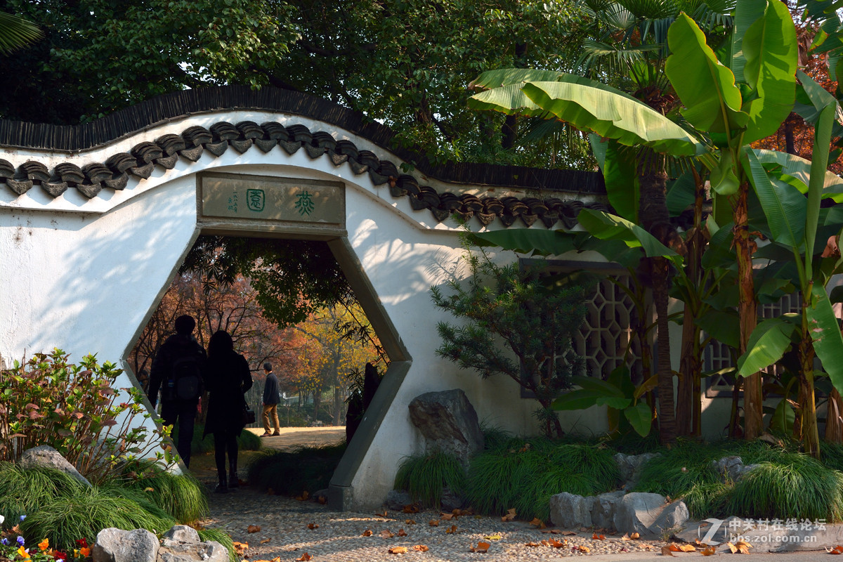 校 园 之 秋 系 列 — 上海复旦（二）