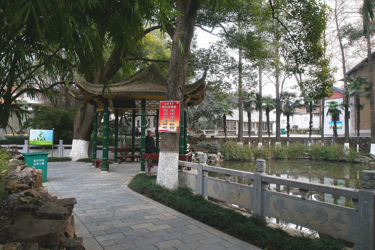 汉阳公园的早晨！