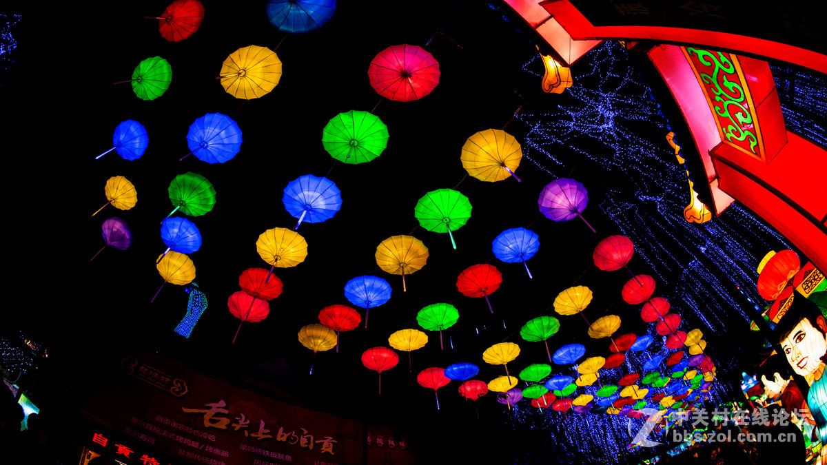 带着鱼眼看灯会