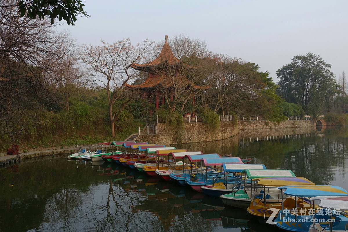 首次玩相机试拍，黑卡M3于我是不是一种浪费？