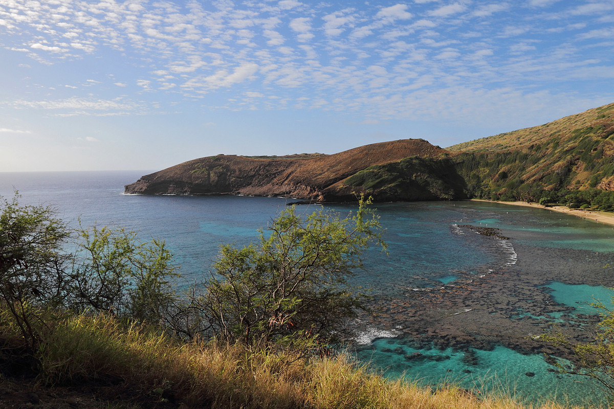 一组夏威夷海滩风光，祝大家春节快乐，吉祥如意！