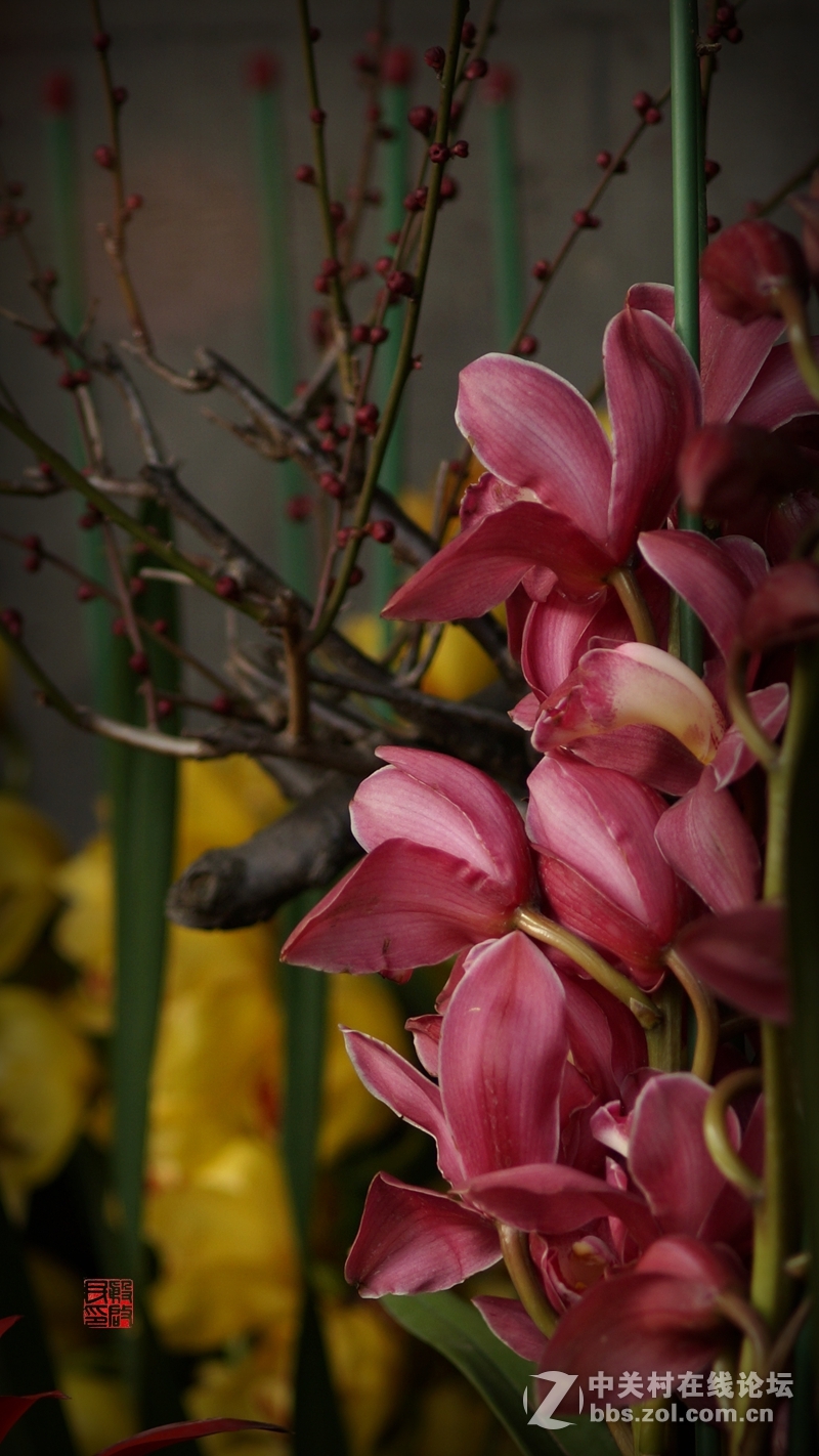 繁花似锦