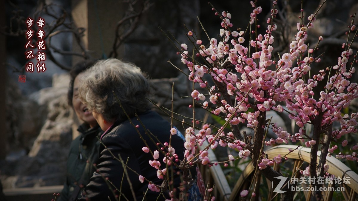 繁花似锦