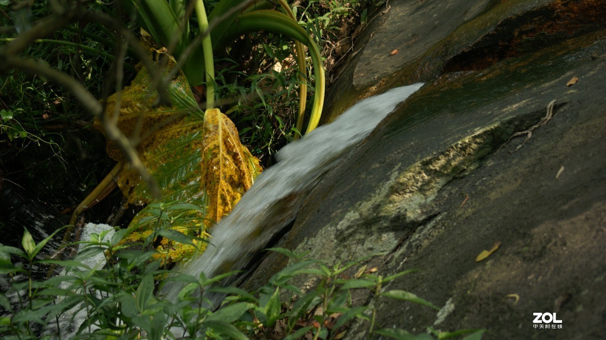 深圳羊台山公园之《龙溪流水》