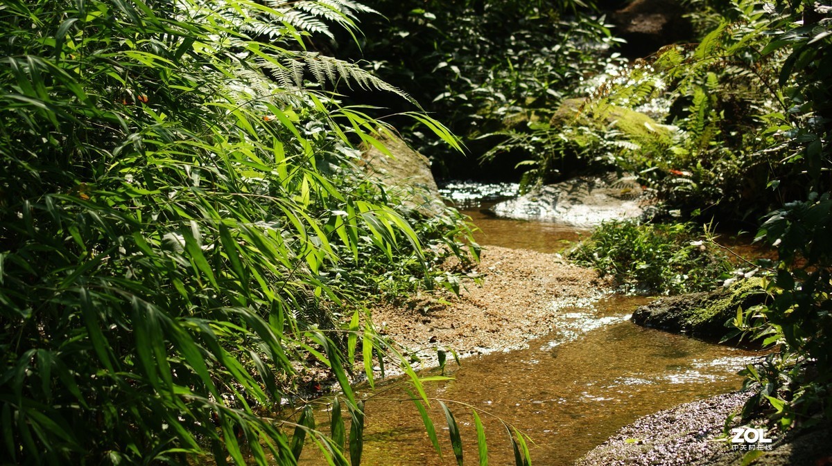 深圳羊台山公园之《龙溪流水》