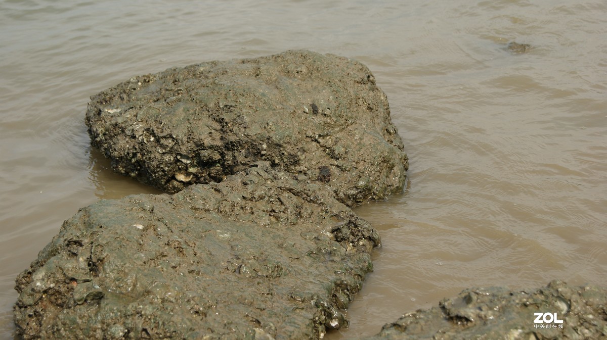 深圳湾公园之《奇形怪石》
