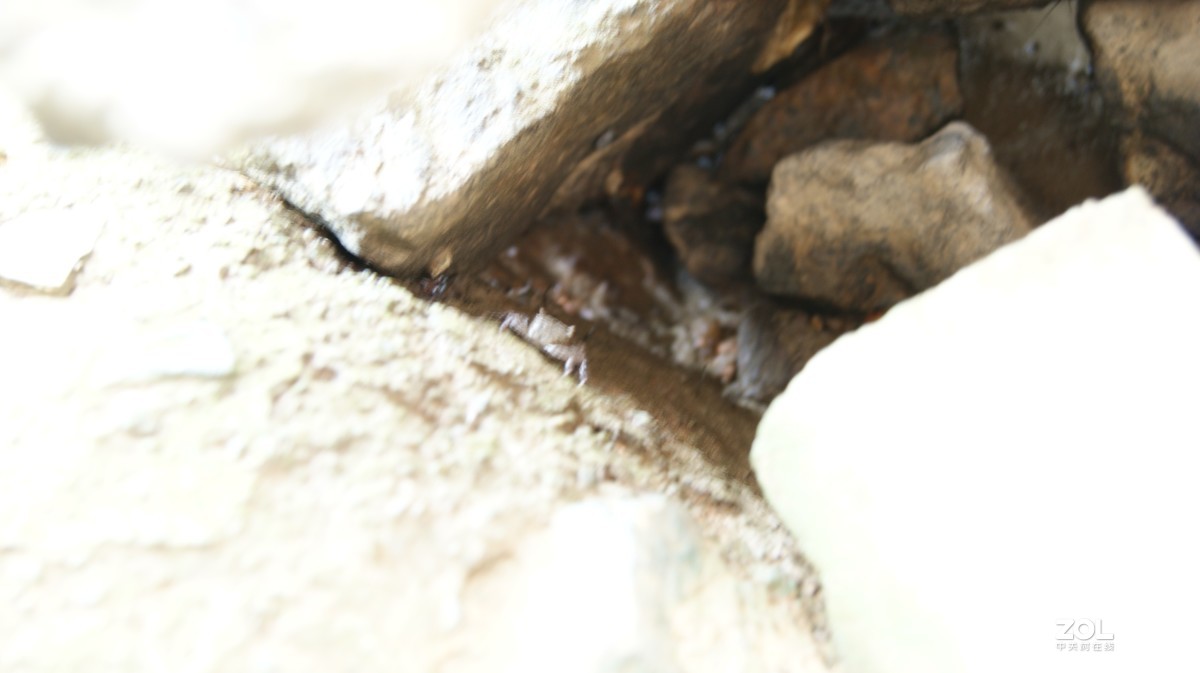 深圳湾公园之《奇形怪石》