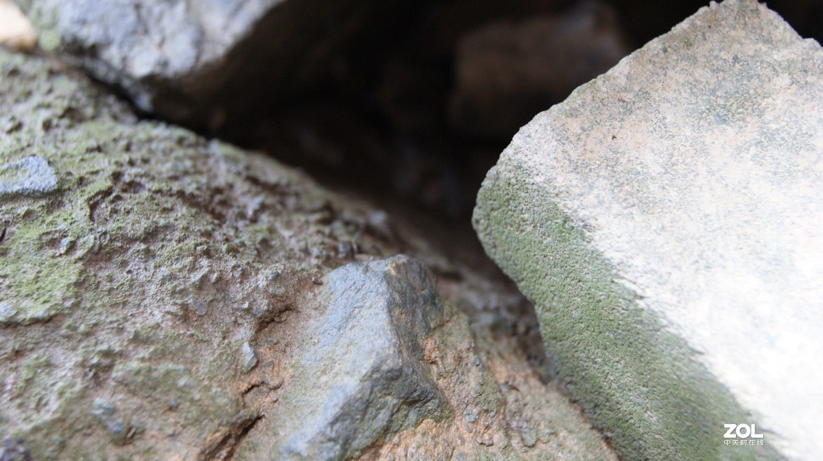 深圳湾公园之《奇形怪石》