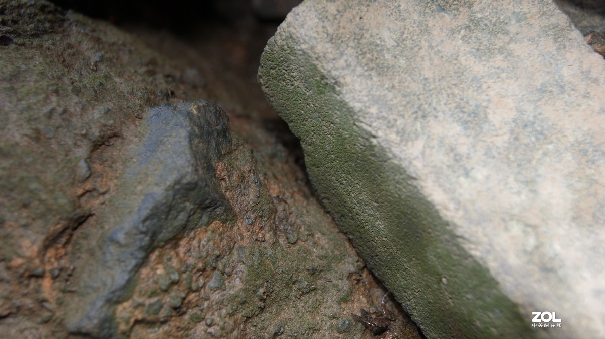 深圳湾公园之《奇形怪石》