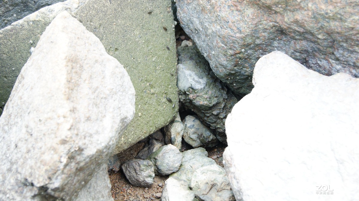 深圳湾公园之《奇形怪石》