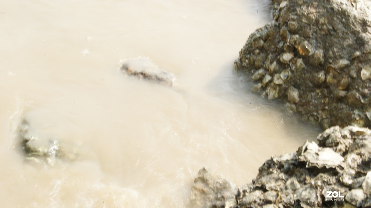 深圳湾公园之《奇形怪石》