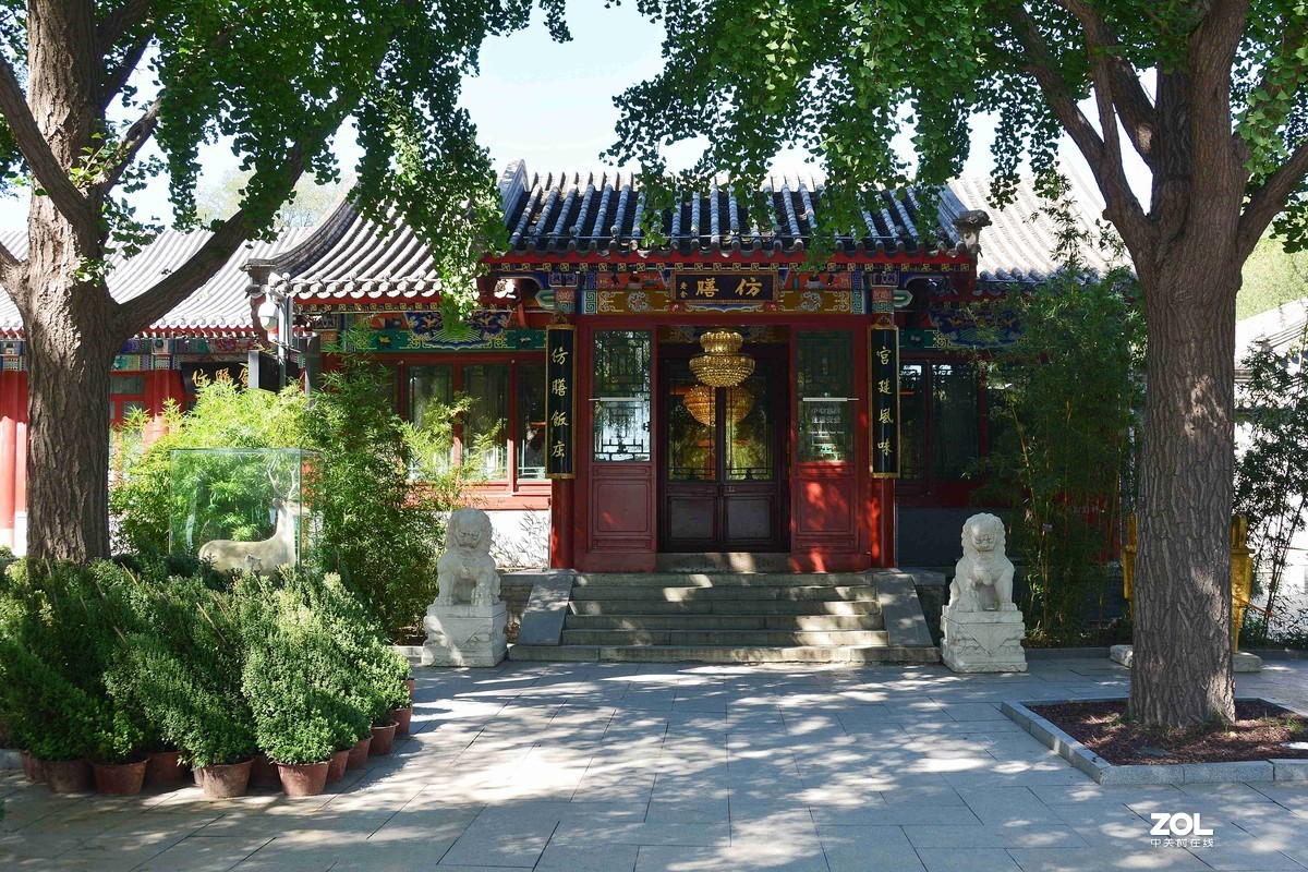 传言已有菊花展，踏遍北海一场空