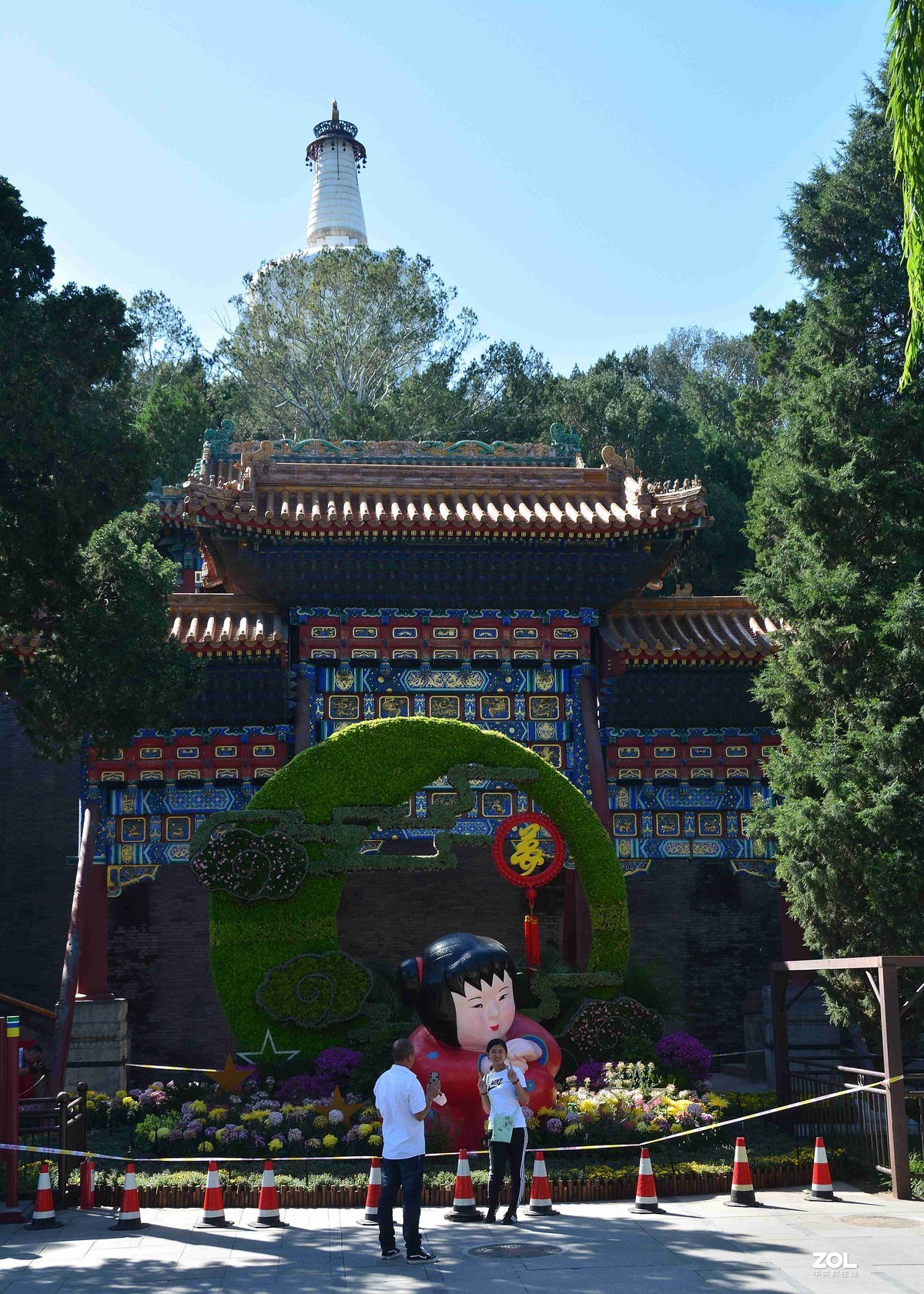 传言已有菊花展，踏遍北海一场空