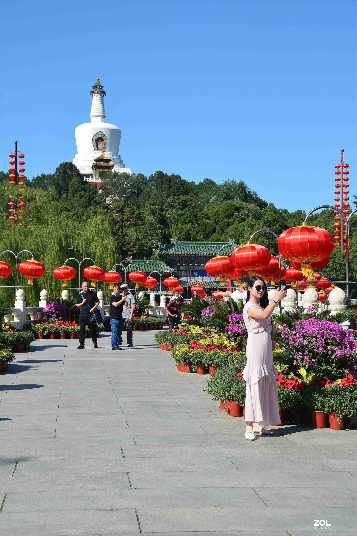 传言已有菊花展，踏遍北海一场空