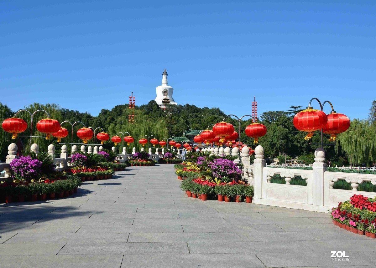 传言已有菊花展，踏遍北海一场空