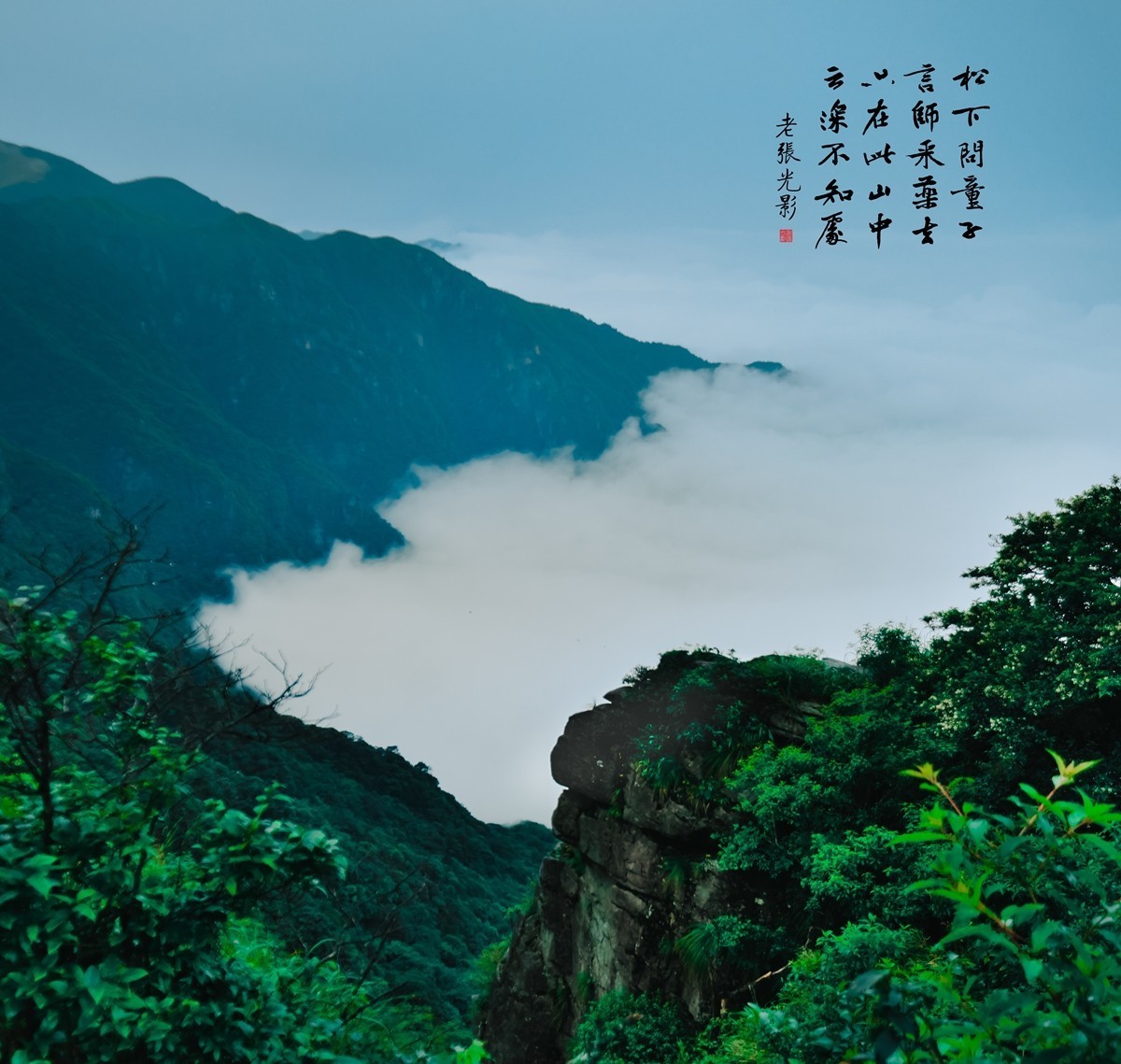 【老张光影】只在此山中 云深不知处