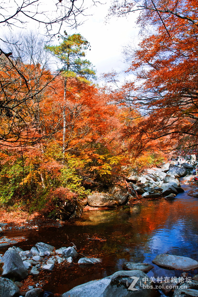 光雾山