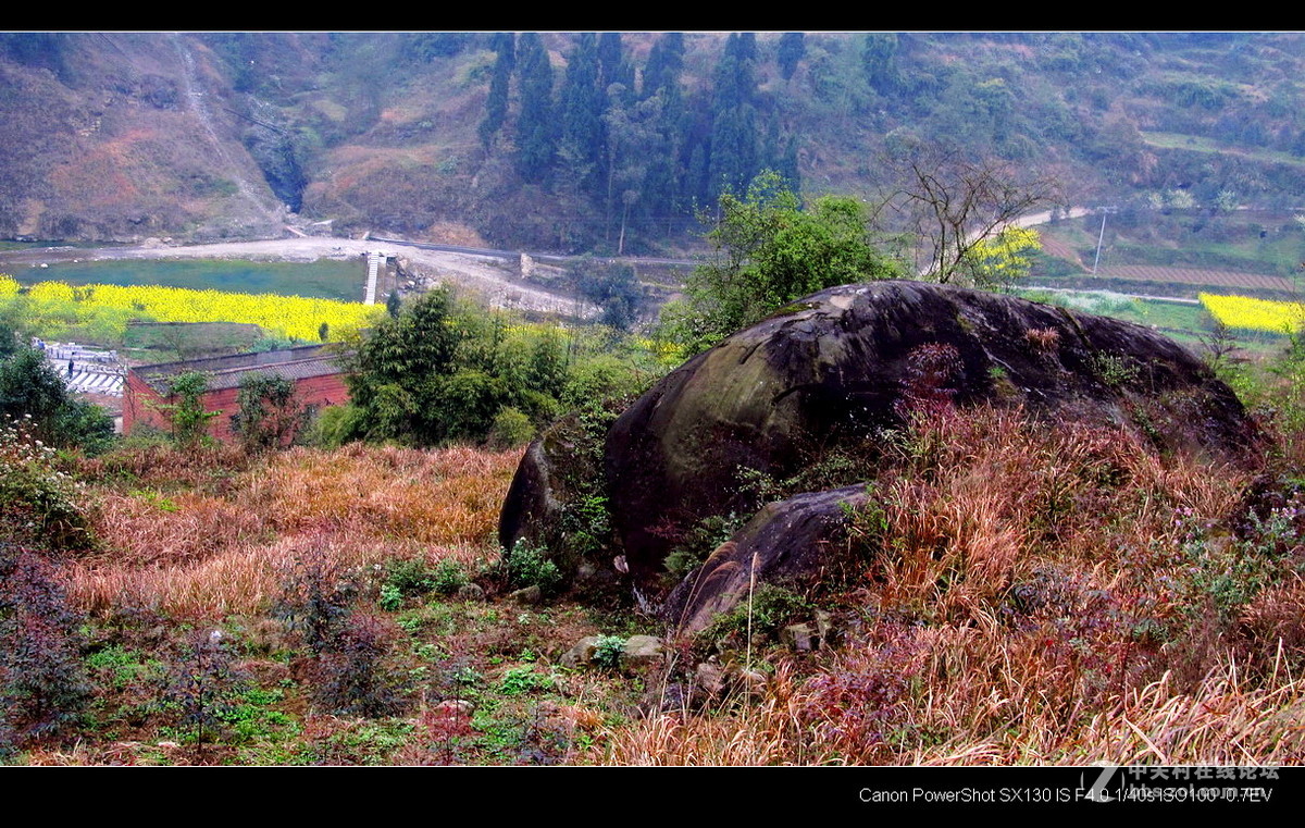 故乡！故乡.......