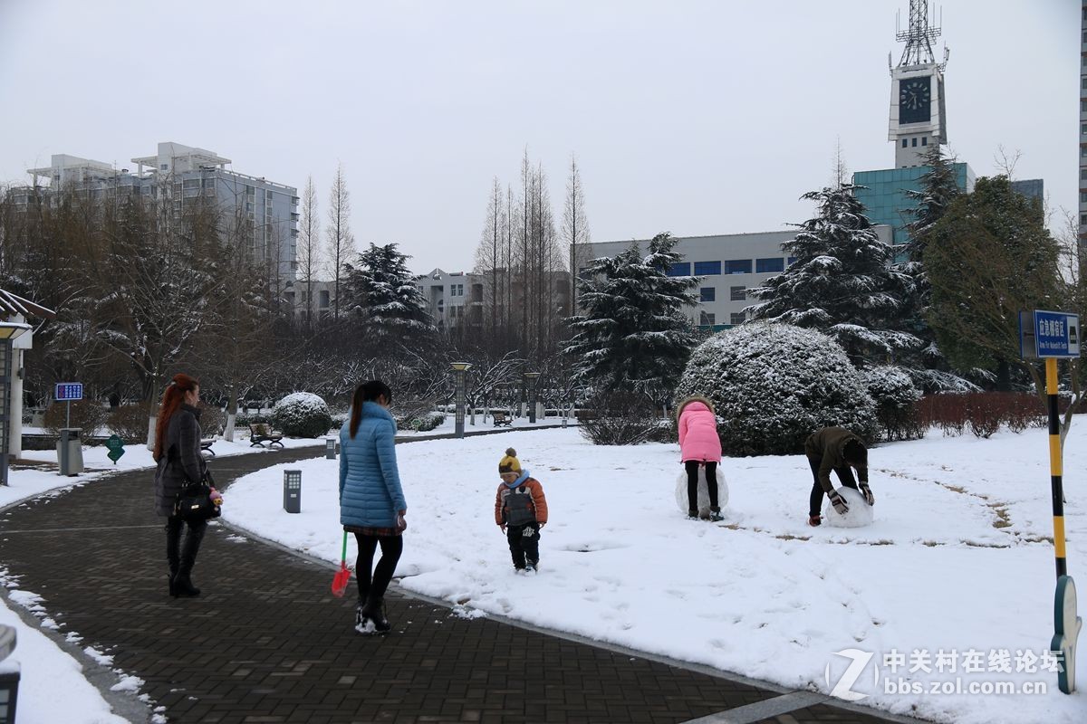 公园雪后随拍