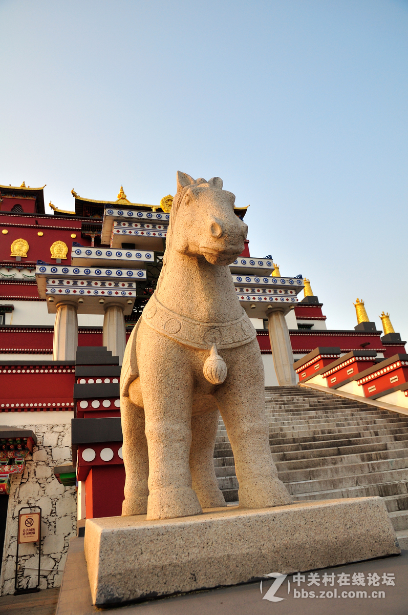 #寻找尼康镜头中最美模特#无锡灵山大佛