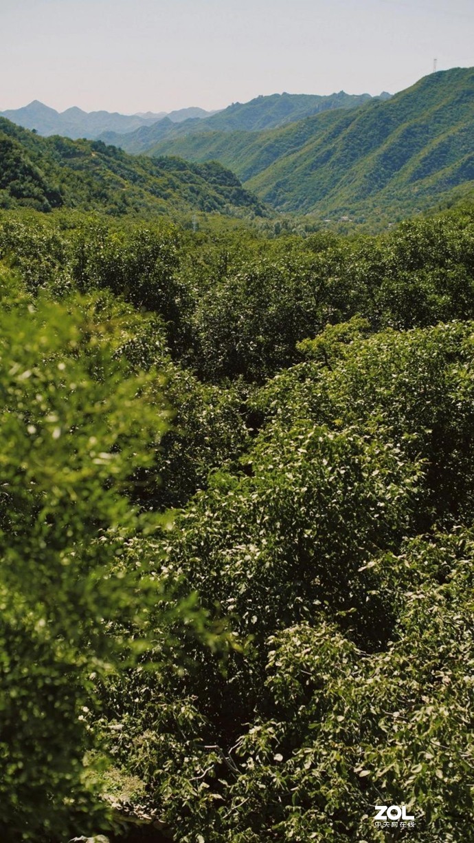 在怀柔，带娃摘油栗，爬水长城，住秘境处的绝美童话大房子——蜡笔森林