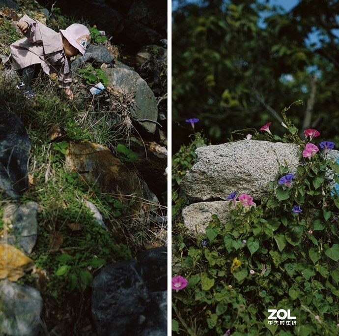 在怀柔，带娃摘油栗，爬水长城，住秘境处的绝美童话大房子——蜡笔森林